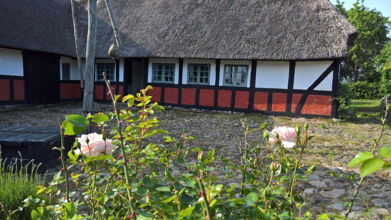 Thurup Hus Assens Esterno foto